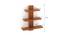 Phelix Engineered Wood Display Unit in Walnut Finish (Beige Finish) by Urban Ladder - Design 1 Close View - 565999