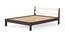 Roverb Engineered Wood King Size Non Storage Bed in Wenge & White Finish (King Bed Size, Matte Finish) by Urban Ladder - Front View Design 1 - 566058