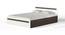 Maltein Engineered Wood King Size Non Storage Bed in Wenge & White Finish (King Bed Size, Matte Finish) by Urban Ladder - Design 1 Full View - 566113