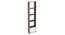 Molse Engineered Wood Bookshelf in Wenge Finish (Brown Finish) by Urban Ladder - Cross View Design 1 - 566137