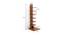 Osvil Engineered Wood Bookshelf in Walnut Finish (Beige Finish) by Urban Ladder - Design 1 Close View - 566227