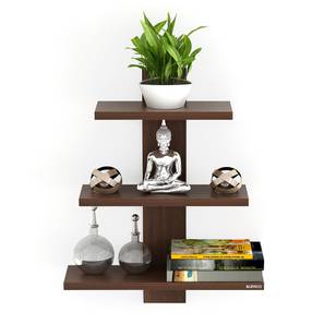 Bookshelf Design Phelix Engineered Wood Bookshelf in Wenge Finish
