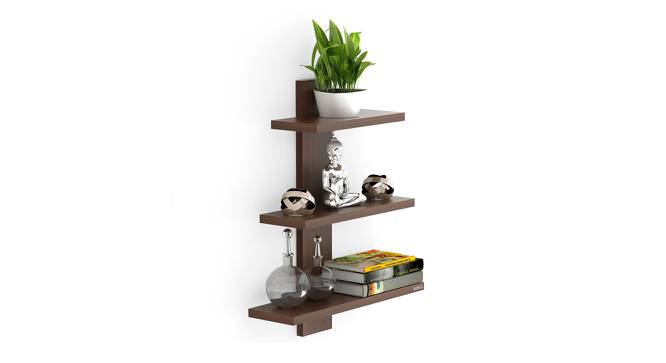 Phelix Engineered Wood Display Unit in Wenge Finish (Brown Finish) by Urban Ladder - Design 1 Full View - 566262