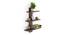 Phelix Engineered Wood Display Unit in Wenge Finish (Brown Finish) by Urban Ladder - Design 1 Full View - 566262
