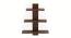 Phelix Engineered Wood Display Unit in Wenge Finish (Brown Finish) by Urban Ladder - Cross View Design 1 - 566283