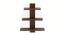 Phelix Engineered Wood Display Unit in Wenge Finish (Brown Finish) by Urban Ladder - Cross View Design 1 - 566283