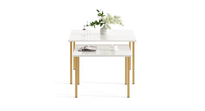 Gustowe Square Engineered Wood Coffee Table in White Finish (Matte Finish) by Urban Ladder - Cross View Design 1 - 566290