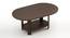 Osnale Oval Engineered Wood Coffee Table in Wenge Finish (Matte Finish) by Urban Ladder - Cross View Design 1 - 566293