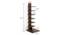 Osvil Engineered Wood Bookshelf in Wenge Finish (Brown Finish) by Urban Ladder - Design 1 Close View - 566333