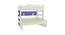 Odessa Engineered Wood Non Storage Bunk Bed - Lavender Purple (Matte Laminate Finish, Double Bed Size) by Urban Ladder - Rear View Design 1 - 566402