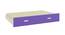 Odessa Engineered Wood Non Storage Bunk Bed - Lavender Purple (Matte Laminate Finish, Double Bed Size) by Urban Ladder - Design 1 Close View - 566409