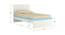 Riga Engineered Wood Non Storage Bed - Sky Blue (Single Bed Size, Matte Laminate Finish) by Urban Ladder - Design 1 Dimension - 566524