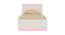 Paloma Engineered Wood Box Storage Bed - Ivory - English Pink (Single Bed Size, Matte Laminate Finish) by Urban Ladder - Front View Design 1 - 566647
