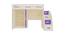 Bonita Engineered Wood Box & Drawer Storage Bunk Bed - Light Wood - Lavender Purple (Single Bed Size, Matte Laminate Finish) by Urban Ladder - Rear View Design 1 - 566680