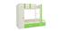 Evita Trundle Engineered Wood Box Storage Bunk Bed - Verdant Green (Single Bed Size, Matte Laminate Finish) by Urban Ladder - Cross View Design 1 - 566748