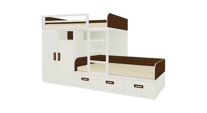 Eskada Engineered Wood Box & Drawer Storage Bunk Bed - Coffee Walnut (Single Bed Size, Matte Laminate Finish) by Urban Ladder - Cross View Design 1 - 566840