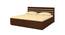 Paloma Engineered Wood Box Storage Bed - Coffee Walnut (King Bed Size, Matte Laminate Finish) by Urban Ladder - Cross View Design 1 - 566851