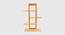 Stepkhuta Bamboo Display Unit - Medium (Polished Finish) by Urban Ladder - Cross View Design 1 - 567130