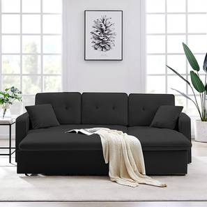 Sofa Cum Bed In Thane Design Universe 3 Seater Pull Out Sofa cum Bed In Black Colour