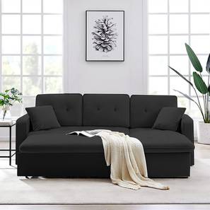  Solid Wood Bed Design Universe 3 Seater Pull Out Sofa cum Bed In Black Colour