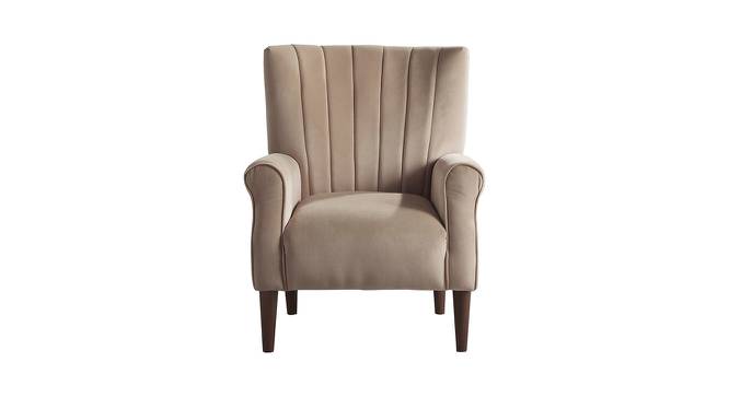 Maxo Bar Chair in Brown Colour (Brown) by Urban Ladder - Front View Design 1 - 567206