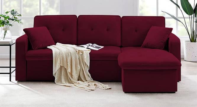Universe Solid Wood Sofa cum Bed in Maroon (Maroon) by Urban Ladder - Front View Design 1 - 567215