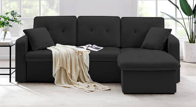 Universe Solid Wood Sofa cum Bed in Black (Black) by Urban Ladder - Front View Design 1 - 567216