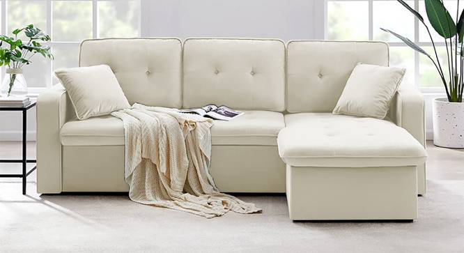 Asher Solid Wood Sofa cum Bed in Cream (Cream) by Urban Ladder - Front View Design 1 - 567217