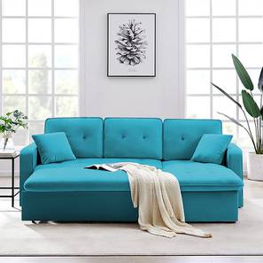 Sofa Cum Bed In Arakkonam Design Universe 3 Seater Pull Out Sofa cum Bed In Turquoise Colour