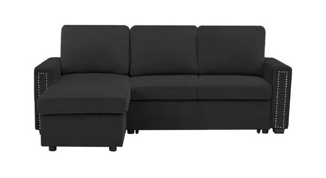 Noah Solid Wood Sofa cum Bed in Black (Black) by Urban Ladder - Front View Design 1 - 567313