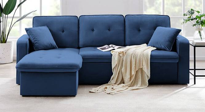 William Solid Wood Sofa cum Bed in Navy Blue (Blue) by Urban Ladder - Front View Design 1 - 567319