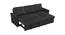 Scarlet Solid Wood Sofa cum Bed in Black (Black) by Urban Ladder - Cross View Design 1 - 567326