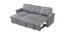 Scarlet Solid Wood Sofa cum Bed in Grey (Grey) by Urban Ladder - Cross View Design 1 - 567327