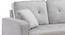 Drake Solid Wood Sofa cum Bed in Grey (Grey) by Urban Ladder - Rear View Design 1 - 567371