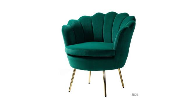 Foster Bar Chair in Green Colour (Green) by Urban Ladder - Front View Design 1 - 567401