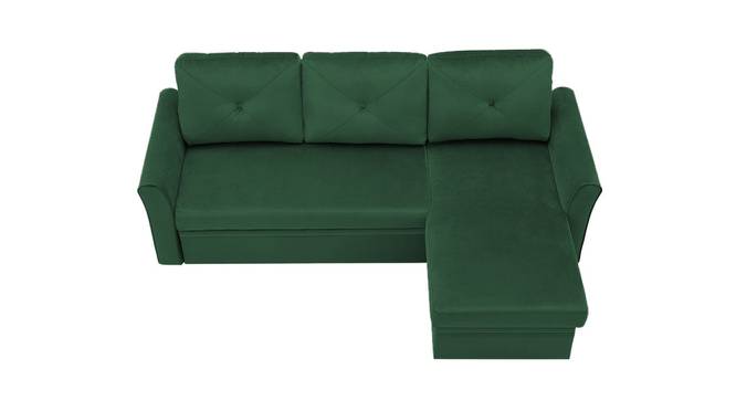 Scarlet Solid Wood Sofa cum Bed in Turquoise (Turquoise) by Urban Ladder - Front View Design 1 - 567402