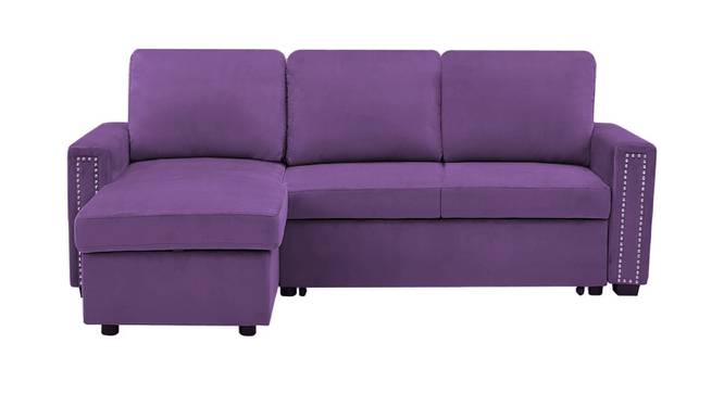 Noah Solid Wood Sofa cum Bed in Purple (Purple) by Urban Ladder - Front View Design 1 - 567412