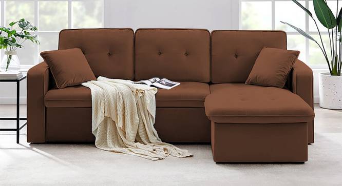 Universe Solid Wood Sofa cum Bed in Brown (Brown) by Urban Ladder - Front View Design 1 - 567414