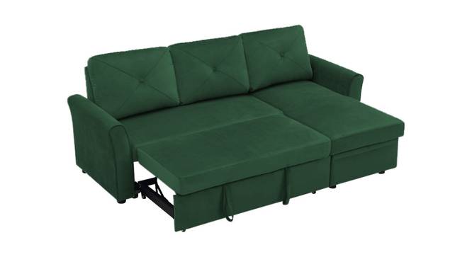 Scarlet Solid Wood Sofa cum Bed in Turquoise (Turquoise) by Urban Ladder - Cross View Design 1 - 567426