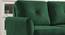 Scarlet Solid Wood Sofa cum Bed in Turquoise (Turquoise) by Urban Ladder - Rear View Design 1 - 567460