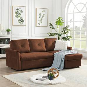 L Shape Sofa Cum Bed Design Scarlet 3 Seater Pull Out Sofa cum Bed In Brown Colour
