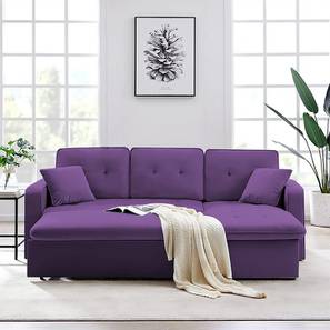 Sofa Cum Bed Design Universe 3 Seater Pull Out Sofa cum Bed With Storage In Purple Colour