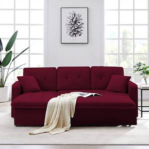 Sofa Cum Bed In Mahesana Design Universe 3 Seater Pull Out Sofa cum Bed In Maroon Colour
