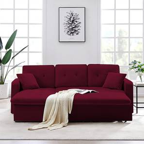 Sofa Cum Bed Design Universe 3 Seater Pull Out Sofa cum Bed In Maroon Colour