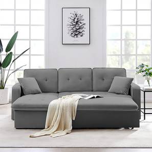  Solid Wood Bed Design Universe 3 Seater Pull Out Sofa cum Bed In Grey Colour