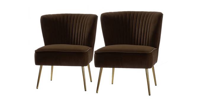 Crimson Bar Chair in Brown Colour (Brown) by Urban Ladder - Front View Design 1 - 567493