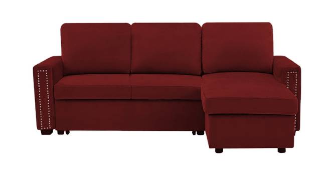 Solace Solid Wood Sofa cum Bed in Maroon (Maroon) by Urban Ladder - Front View Design 1 - 567503