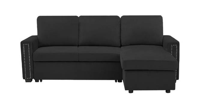Solace Solid Wood Sofa cum Bed in Black (Black) by Urban Ladder - Front View Design 1 - 567506