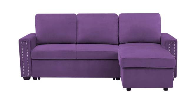 Solace Solid Wood Sofa cum Bed in Purple (Purple) by Urban Ladder - Front View Design 1 - 567508