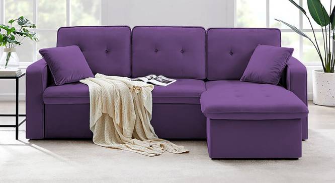 Universe Solid Wood Sofa cum Bed in Purple (Purple) by Urban Ladder - Front View Design 1 - 567513